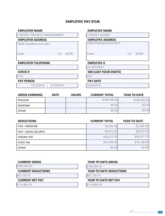 Download Employee Paystub Edited Photoshop template